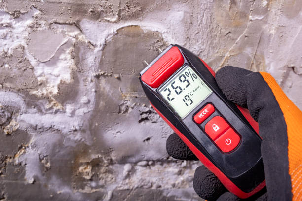 Best Emergency Mold Remediation in Anderson, SC