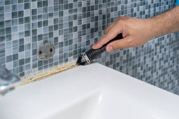 Best Localized Mold Remediation (e.g., coastal areas, humid climates) in Anderson, SC